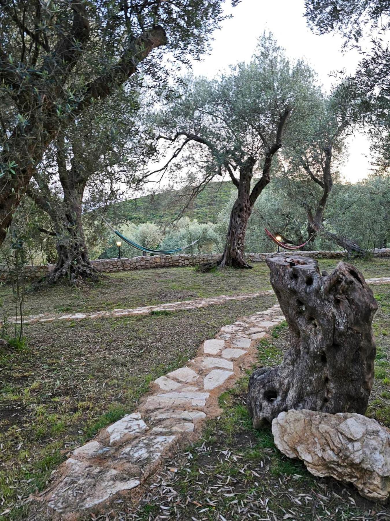 Olea Cottage ウルツィニ エクステリア 写真